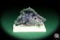 Preview: Grape chalcedony (20630) a thumbnail from Indonesia | Minerals | Thumbnails