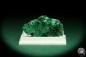 Preview: Malachite XX (20663) a thumbnail from see pictures | Minerals | Thumbnails