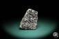 Preview: Magnetit XX ein Mineral