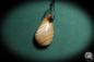 Preview: Agate (2159) a gem from minerals from East Africa | Nature jewelry | From Minerals