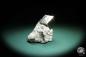 Preview: Pyrit XX in Mergelmatrix ein Mineral