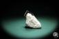Preview: Pyrit XX in Mergelmatrix ein Mineral