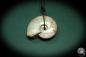 Preview: Cleoniceras spec. (4435) a gem from fossils from Madagascar | Nature jewelry | From Fossils