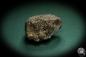 Preview: Pyrite XX on Calcite XX (4691) a mineral from Morocco | Minerals | Global