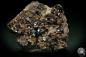 Preview: Magnetite XX (4914) a mineral from Bolivia | Minerals | Global