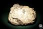 Preview: Baryte XX (5414) a mineral from Germany | Minerals | From Germany