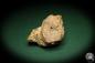 Preview: Orthoclase XX (5437) a mineral from Germany | Minerals | From Germany