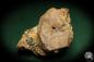 Preview: Orthoclase XX (5437) a mineral from Germany | Minerals | From Germany