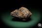 Preview: Mottramite (5509) a mineral from Namibia | Minerals | Global