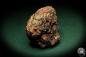 Preview: Mottramite (5509) a mineral from Namibia | Minerals | Global