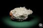 Preview: Hemimorphite XX on Limonite (5582) a mineral from Mexico | Minerals | Global