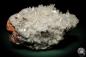 Preview: Hemimorphite XX on Limonite (5582) a mineral from Mexico | Minerals | Global