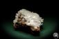 Preview: Hemimorphite XX on Limonite (5582) a mineral from Mexico | Minerals | Global