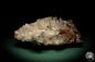 Preview: Hemimorphite XX on Limonite (5583) a mineral from Mexico | Minerals | Global