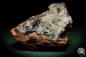 Preview: Hemimorphite XX on Limonite (5585) a mineral from Mexico | Minerals | Global