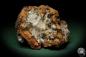 Preview: Hemimorphite XX on Limonite (5587) a mineral from Mexico | Minerals | Global