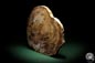 Preview: Verkieseltes Araukarienholz (6331) a fossil plant from Madagascar | Fossils | Plants