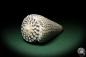 Preview: Conus leopardus (6703) a snail from Philippines | Conchylia | Snails