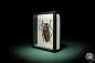 Preview: Enoplocerus armillatus (7158) a beetle from South America | Taxidermy | Beetles