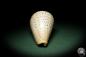 Preview: Conus betulinus (7663) a snail from Philippines | Conchylia | Snails