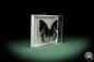 Preview: Charaxes smaragdalis (7928) a butterfly from Africa | Taxidermy | Butterflies