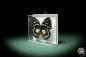 Preview: Euxanthe eurinome (7964) a butterfly from Africa | Taxidermy | Butterflies