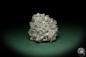 Preview: Calcite XX & Pyrite XX (8142) a mineral from Germany | Minerals | From Germany