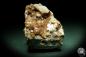 Preview: Grossular XX (8149) a mineral from Italy | Minerals | Global