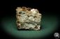 Preview: Grossular XX (8149) a mineral from Italy | Minerals | Global