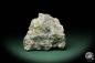 Preview: Amethyst XX ein Mineral