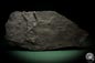 Preview: Neuropteris spec. (8270) a fossil plant from Germany | Fossils | Plants