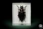 Preview: Dorysthenes walkeri (8533) a beetle from Asia | Taxidermy | Beetles