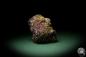 Preview: Chalcopyrite (9269) a mineral from Mexico | Minerals | Global