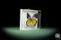 Preview: Delias belisama (9887) a butterfly from Indonesia | Taxidermy | Butterflies