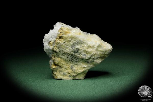 Chalcopyrite XX & Dolomite XX on Calcite XX (12571) a mineral from Germany | Minerals | From Germany