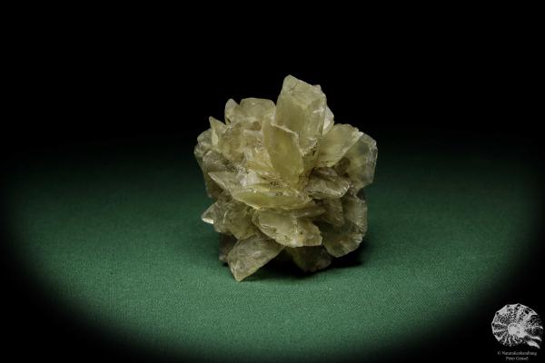 Gypsum XX (12577) a mineral from Germany | Minerals | From Germany