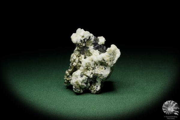 Dolomit XX auf Sphalerit XX (12581) ein Mineral aus Rumänien | Mineralien | Weltweit