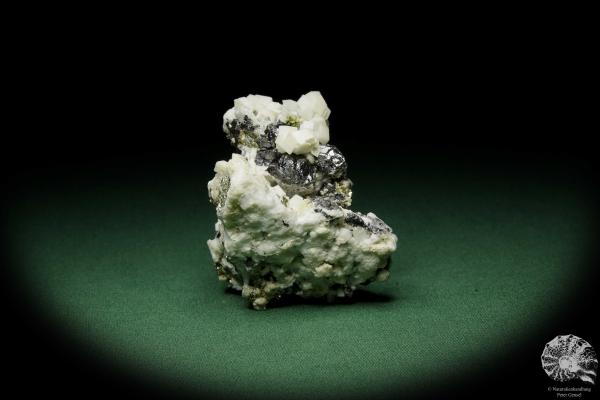 Dolomit XX auf Sphalerit XX (12581) ein Mineral aus Rumänien | Mineralien | Weltweit