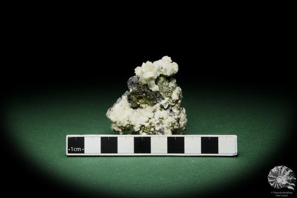 Dolomit XX auf Sphalerit XX (12581) ein Mineral aus Rumänien | Mineralien | Weltweit