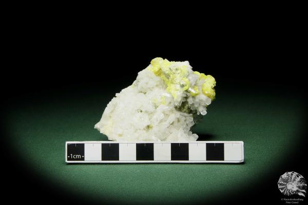 Celestine XX on Sulfur (12583) a mineral from Poland | Minerals | Global