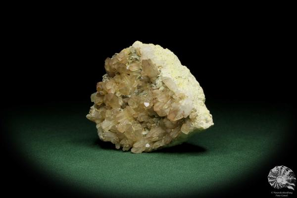 Quartz XX and Paradoxite XX (12606) a mineral from Germany | Minerals | From Germany