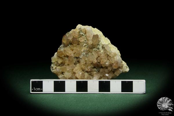 Quartz XX and Paradoxite XX (12606) a mineral from Germany | Minerals | From Germany