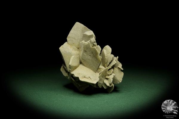 Gypsum XX (12623) a mineral from Mexico | Minerals | Global