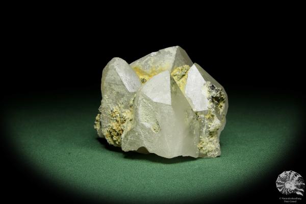 Quartz XX with Pyrite XX (12624) a mineral from Kazakhstan | Minerals | Global