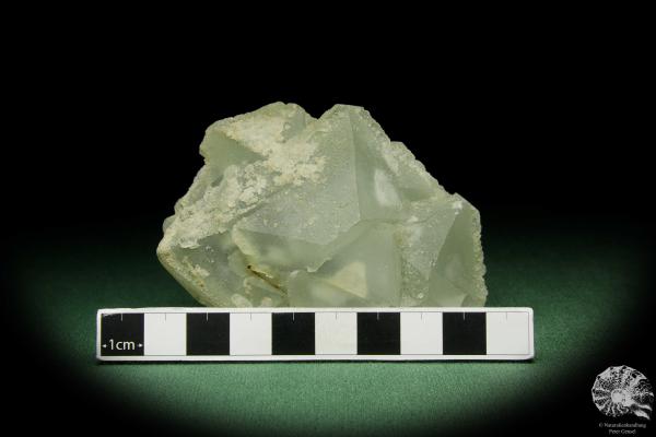 Fluorit XX (12631) ein Mineral aus China | Mineralien | Weltweit