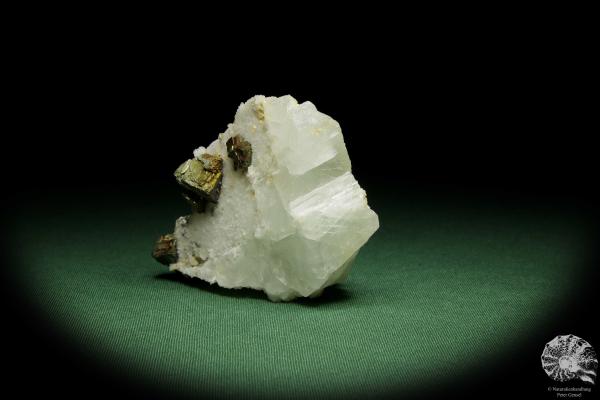 Pyrite XX on Fluorite & Quartz (12635) a mineral from Germany | Minerals | From Germany