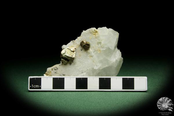 Pyrite XX on Fluorite & Quartz (12635) a mineral from Germany | Minerals | From Germany