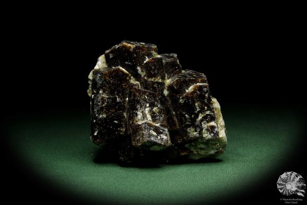 Dravit XX (12639) ein Mineral aus Australien | Mineralien | Weltweit