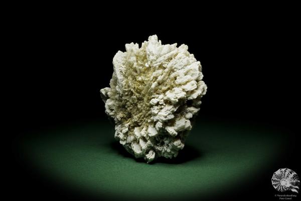 Gypsum XX (12642) a mineral from Kazakhstan | Minerals | Global