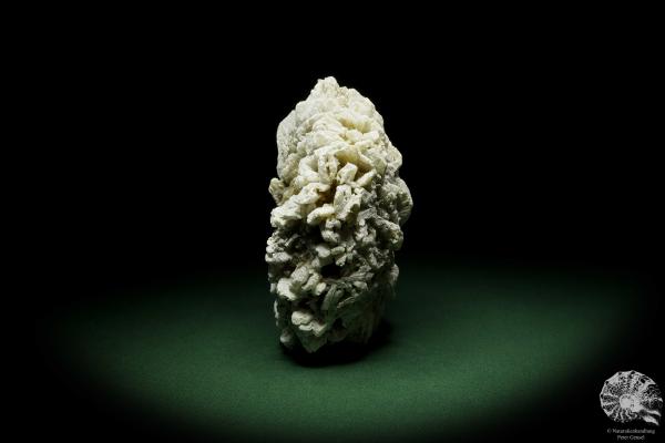 Gypsum XX (12642) a mineral from Kazakhstan | Minerals | Global